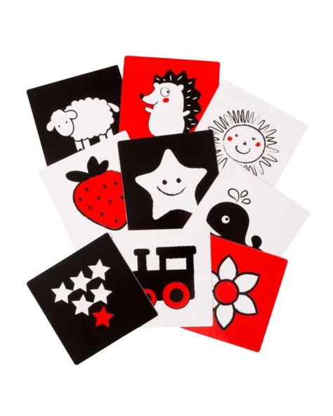 0 6 Ay Bebeğim İçin Akıllı Kartlar Eolo Yayınları - 3