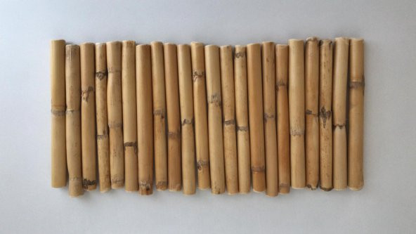 Bambu 15 Cm 12 Li Paket Hobi Hammadde - 4