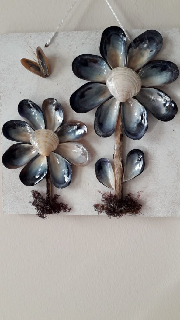 Çiçek Tablo  Deniz Kabuğu Motifli Hediyelik Dekoratif Süsleme