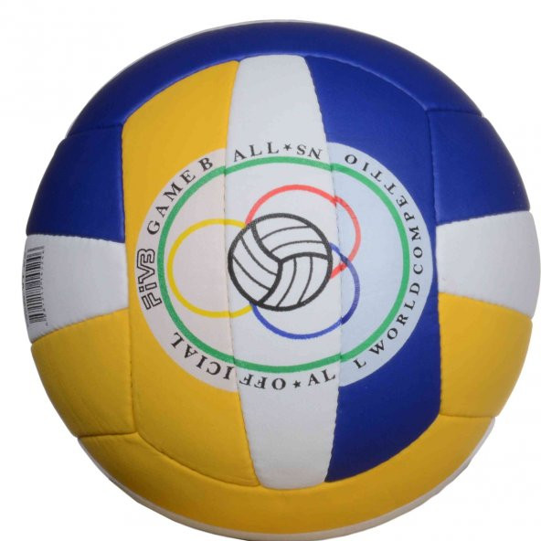 VERTEX MVP 200 PLUS VOLEYBOL TOPU - 4