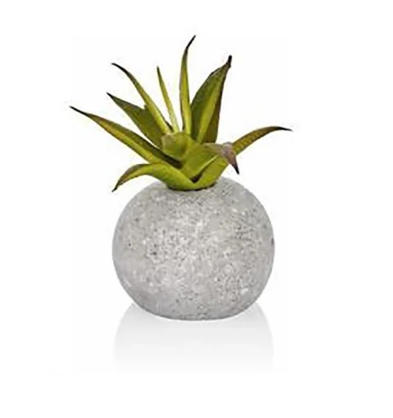 BETON SAKSILI DEKORATİF YAPAY SUKULENT
