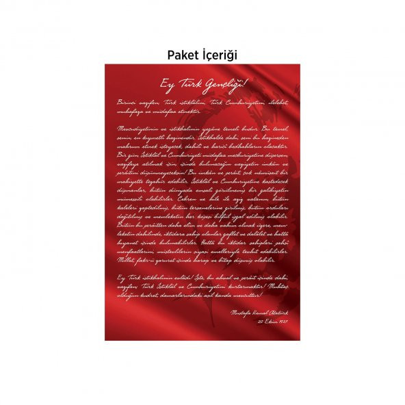 Gençliğe Hitabe-1 50x70 cm Duvar Sticker - 2