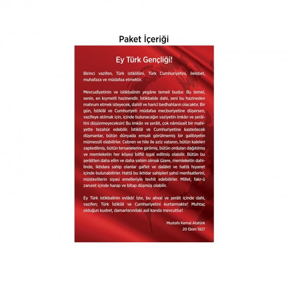 Gençliğe Hitabe-2 50x70 cm Duvar Sticker - 2