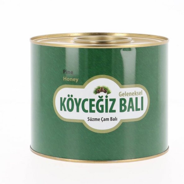 Kb Köyceğiz Balı Çam Balı 2850 G Teneke