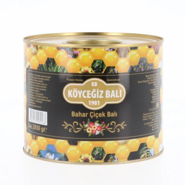 Kb Köyceğiz Balı Bahar Çiçek Balı 2850 G Teneke