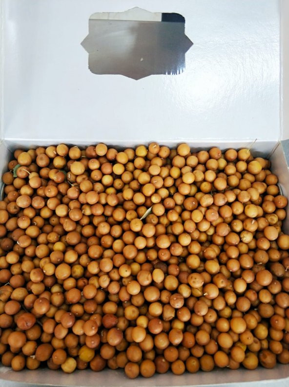 Dağın 500G