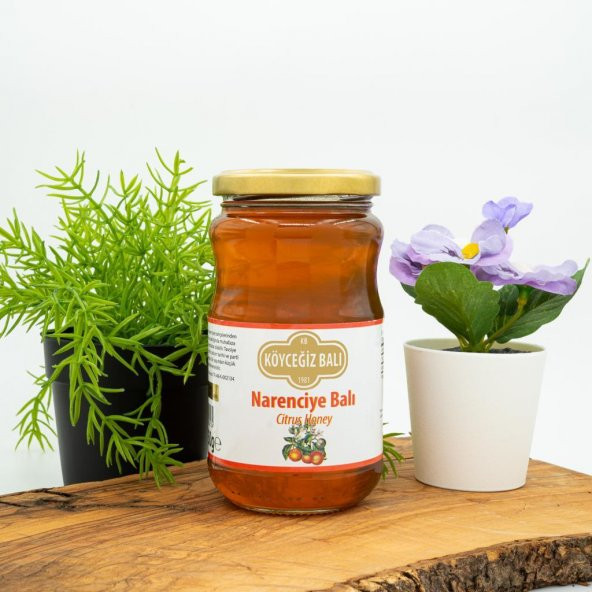 Kb Köyceğiz Balı Narenciye Balı 450 G Cam Kavanoz
