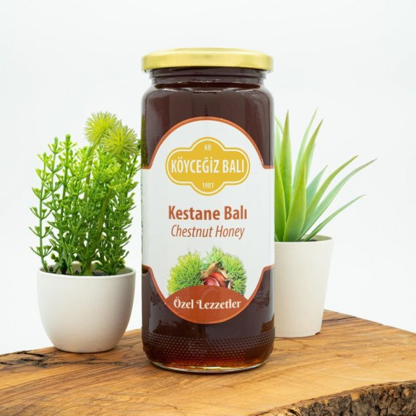 Kb Köyceğiz Balı Kestane Balı 660 G Cam Kavanoz