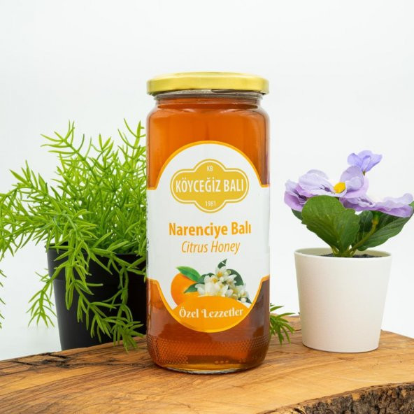 Kb Köyceğiz Balı Narenciye Balı 660 G Cam Kavanoz