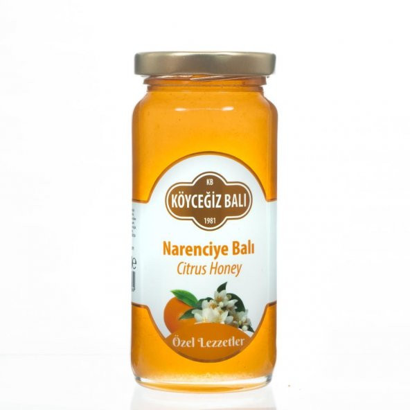 Kb Köyceğiz Balı Narenciye Balı 330 G Cam Kavanoz - 3