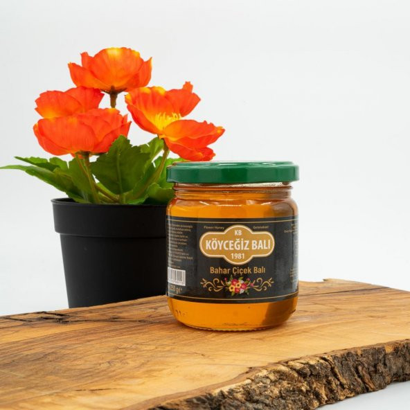 Kb Köyceğiz Balı Bahar Çiçek Balı 250 G Cam Kavanoz