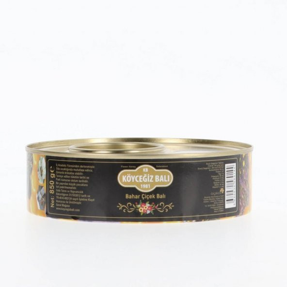 Kb Köyceğiz Balı Bahar Çiçek Balı 850 G Teneke