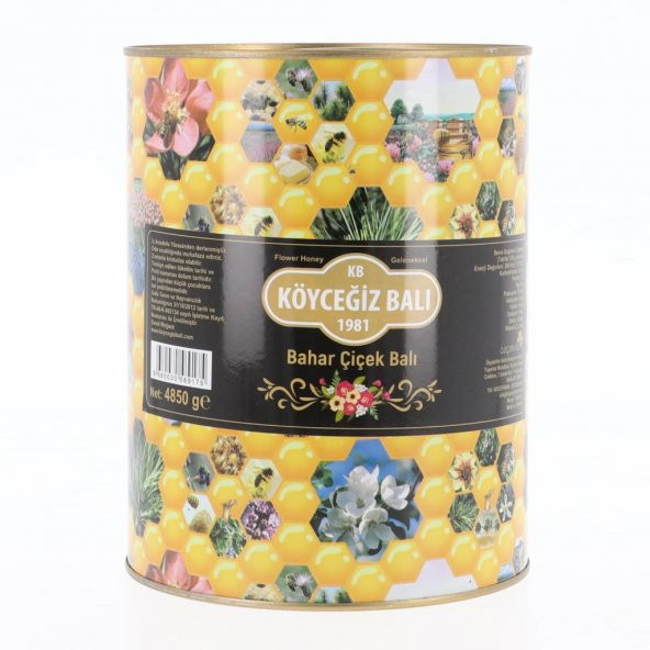 Kb Köyceğiz Balı Bahar Çiçek Balı 4850 G Teneke