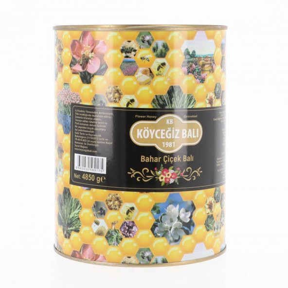 Kb Köyceğiz Balı Bahar Çiçek Balı 4850 G Teneke - 2