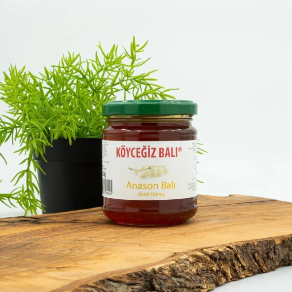 Kb Köyceğiz Balı Anason Balı 250 G Cam Kavanoz