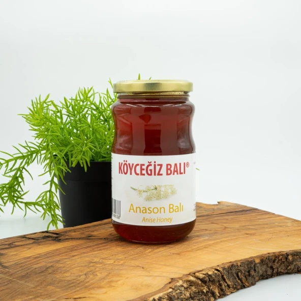 Kb Köyceğiz Balı Anason Balı 450 G Cam Kavanoz