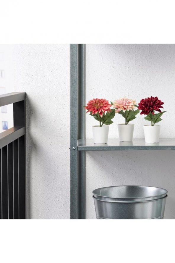 IKEA Fejka Yapay Çiçek 3Lü Yıldız Çiçeği