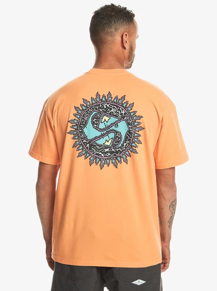 Quiksilver Spin Cycle Ss Erkek T-Shirt - 2