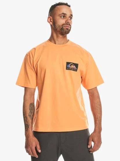 Quiksilver Back Flash Ss Erkek T-Shirt - 1