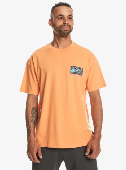 Quiksilver Spin Cycle Ss Erkek T-Shirt - 1