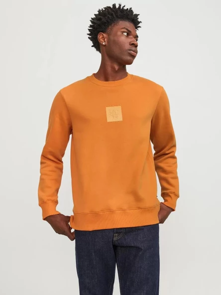 Jack & Jones Jprblaleo Sweat Crew Neck Erkek Sweatshirt ürün görseli 1
