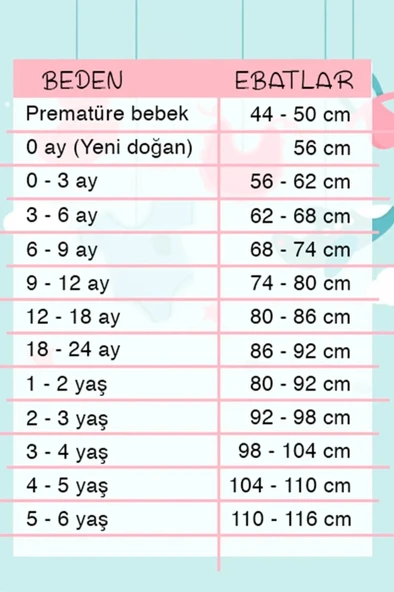 3-9 Ay Erkek Bebek Alt&Üst Takımı Kamp Kapüşonlu Mavi - 3