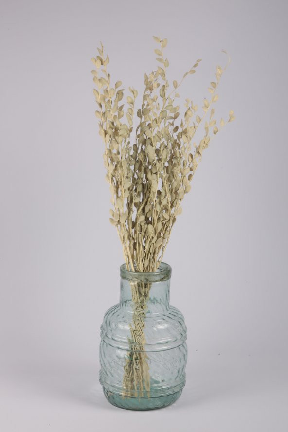 Şoklanmış Doğal Kuru Çiçek Beyaz Sedef Otu Demeti 30-40cm - 1