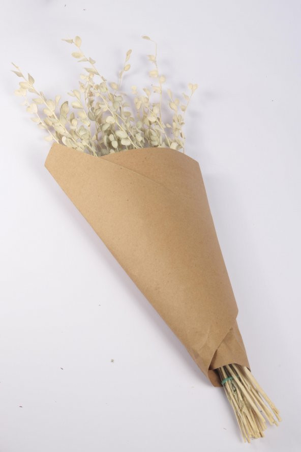 Şoklanmış Doğal Kuru Çiçek Beyaz Sedef Otu Demeti 30-40cm - 3