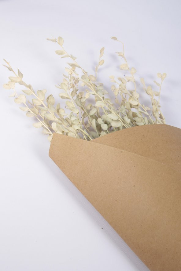 Şoklanmış Doğal Kuru Çiçek Beyaz Sedef Otu Demeti 30-40cm - 4
