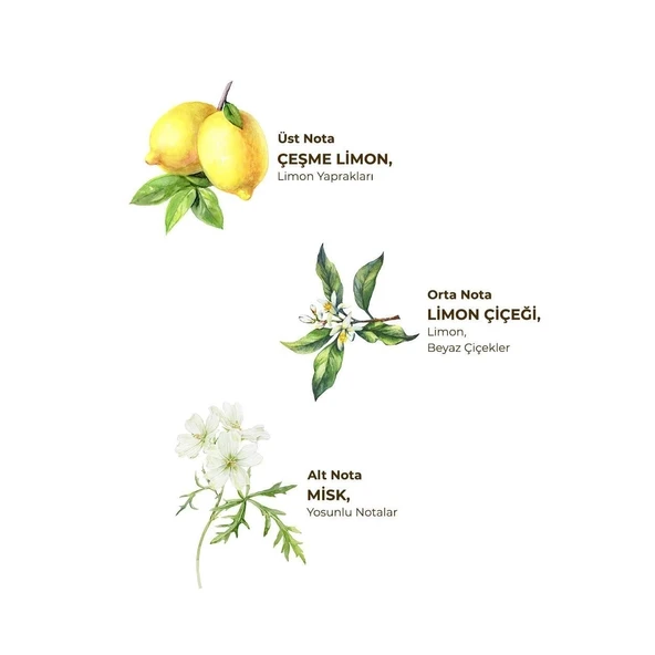 Eyüp Sabri Tuncer Kolonya Pet Şişe Sprey 150 ml Çeşme Limonu - Resim 2