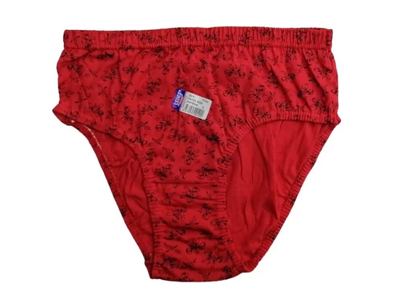 Sedef Yıldız Bayan Desenli Empirme Külot 1023 - Resim 3