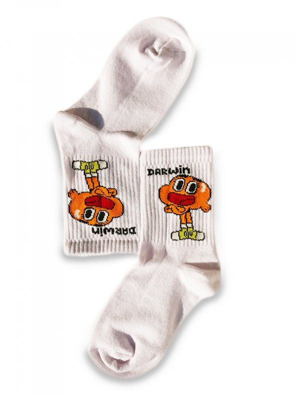HI-SOCKS DESENLİ RENKLİ 5'Lİ ÇORAP SETİ - 3