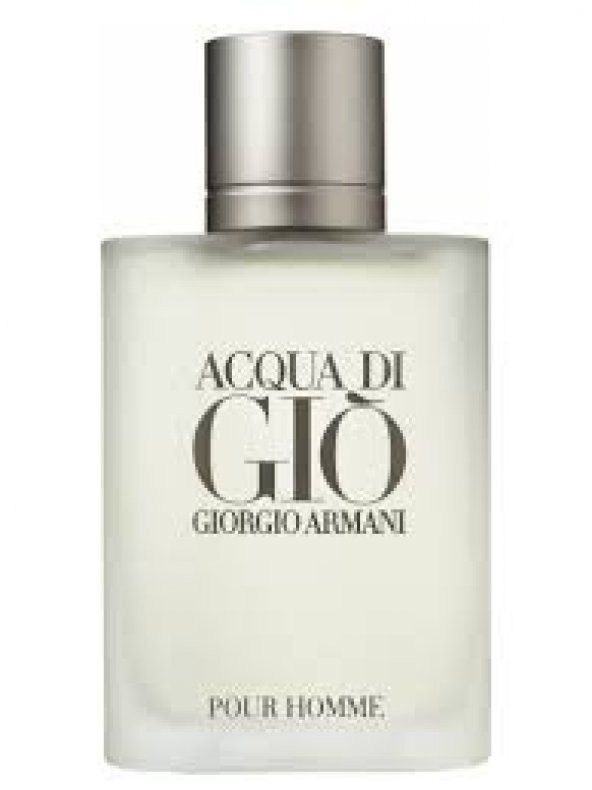 Giorgio Armani Acqua di Gio Edt Erkek Parfüm 100 ml