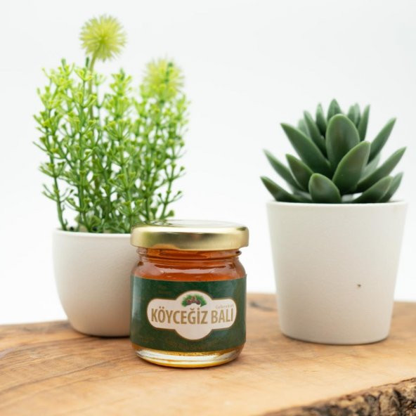 Kb Köyceğiz Balı Çam Balı 45 G Cam Kavanoz