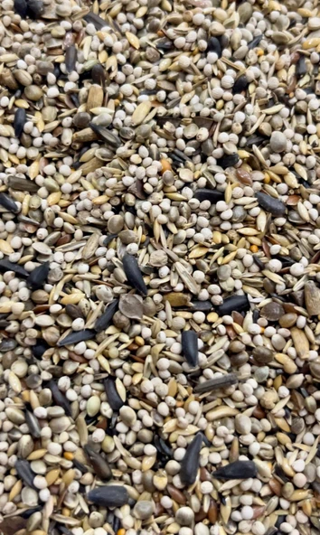 SAKA YEMİ 0242 Yabani Sağlık Tohumu 15 Kg - 2