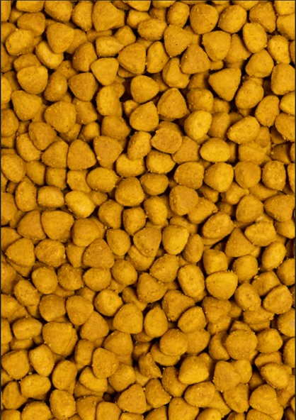 PSİTTACUS YÜKSEK ENERJİ ÜRETİMİ 12 Kg - 2