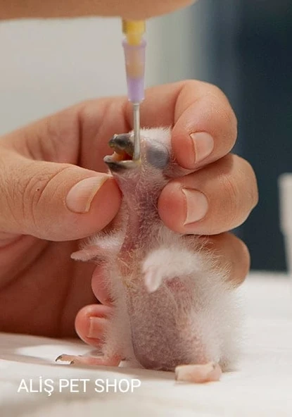 PSİTTACUS GRANIVOROUS CROP MILK 500 gr - 4