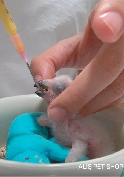 PSİTTACUS GRANIVOROUS CROP MILK 500 gr - 3