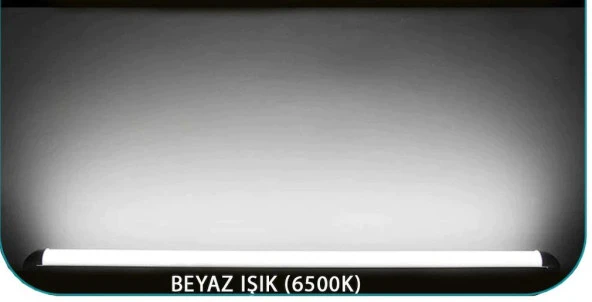 Philips 40W  Suya Dayanıklı Bahçe Aydınlatması Beyaz 120 Cm - Resim 9