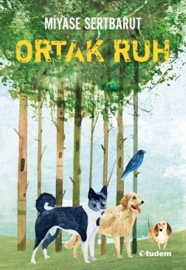 Ortak Ruh - Miyase Sertbarut - 1