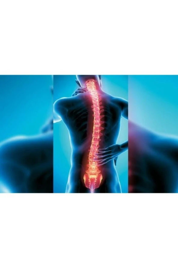 Posturex Dik Duruş Korsesi Dik Duruş Yeleği Sırt Korsesi - Resim 4