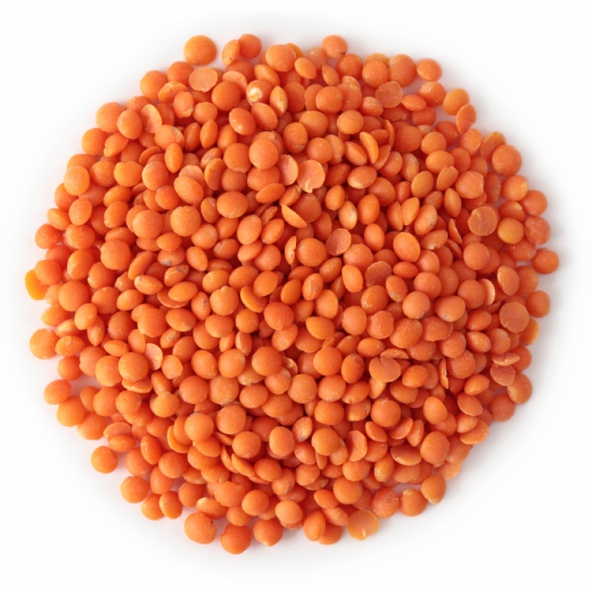 Kırmızı Mercimek (1 KG)