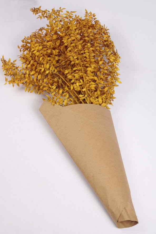 Şoklanmış Dökülmeyen Doğal Kuru Çiçek Sarı Kokina 100 gr 60cm - 3