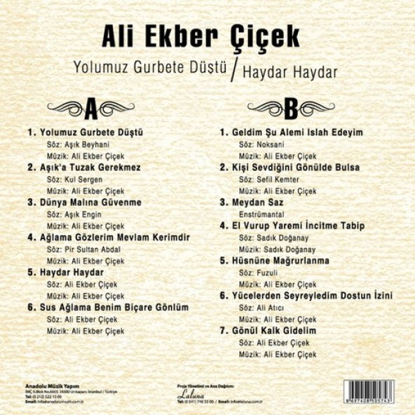 Ali Ekber Çiçek - Yolumuz Gurbete Düştü / Haydar Haydar (Plak) - 2