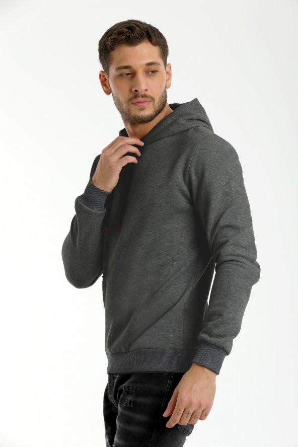 Basic Sweatshirt Kapüşonlu Içi Polarlı Füme Standart Kalıp