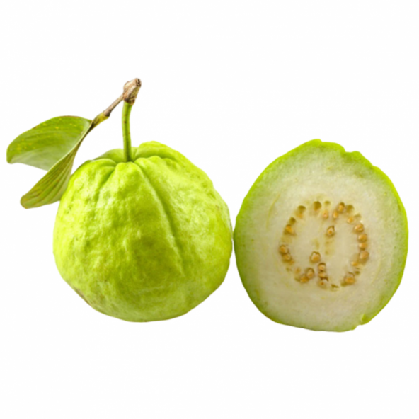 Psidium Guava Meyvesi Tohumu Ekim Seti 3 Tohum +Saksı+Toprak