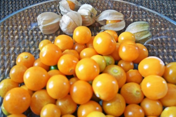 Altın Çilek Tohumu Ekim Seti 5 Tohum + Saksı + Toprak + Süpriz - Resim 2