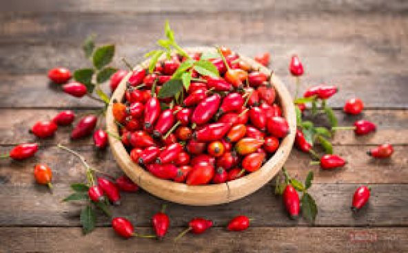 Kuşburnu Tohumu Tohumu Ekim Seti 5 Tohum + Saksı + Toprak - 4