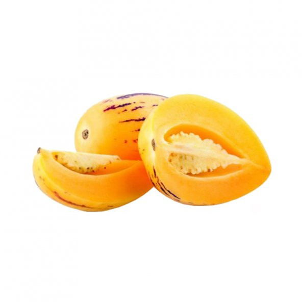 Saksılık Pepino Tohumu Ekim Seti 5 Tohum + Saksı + Toprak + Süpri - 4