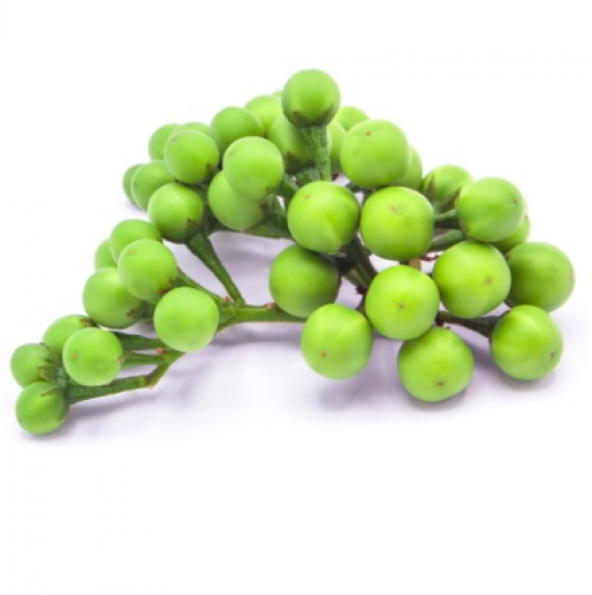 İthal Nadir Üzüm Patlıcan Tohumu Ekim Seti 5 Tohum + Saksı + Topr - 2